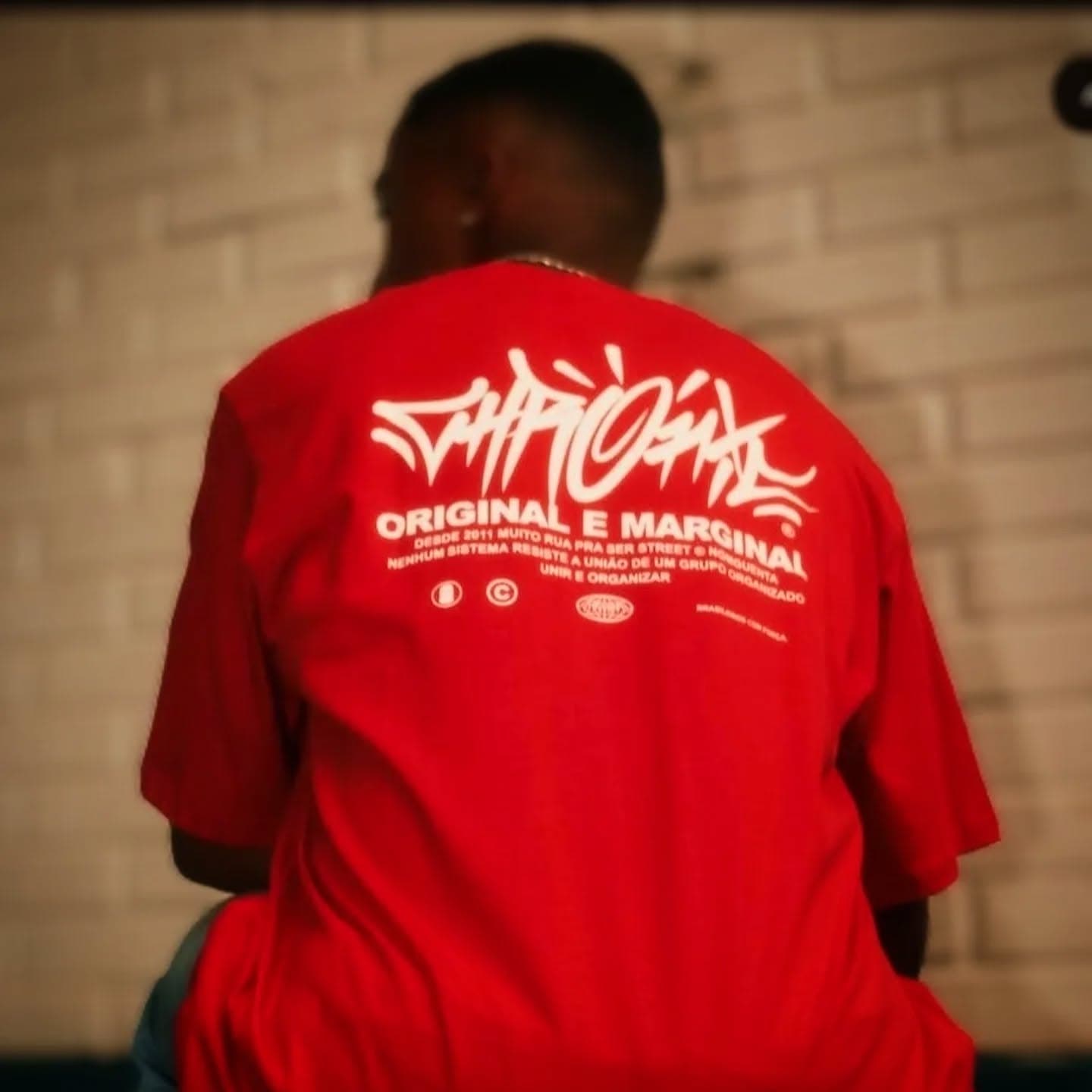 Ensaio Streetwear 064 Camisetas